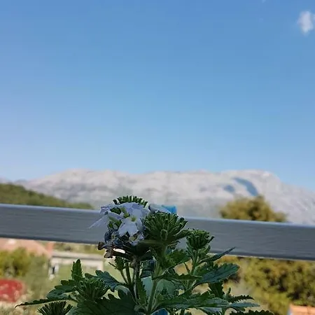 Appartamento Lucija