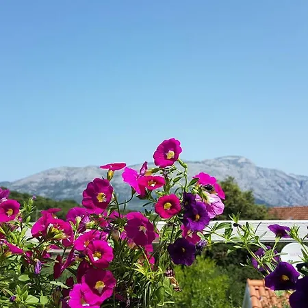 Διαμέρισμα Lucija Κόρτσουλα